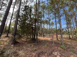 9682 Creek Vista Ln, Willis, TX 77378