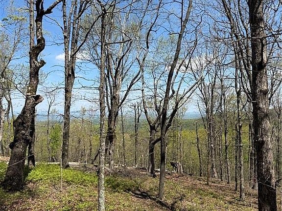 4th image of 161 Sharp Mountain Pkwy Lot 161
