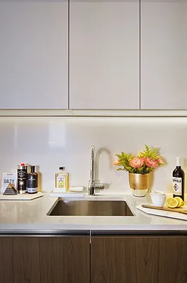 Rented by Bold Marketing | media 1