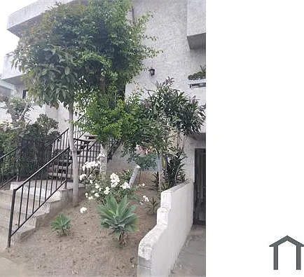 2 bed, 1000 sqft, $2,400 — Photo 3