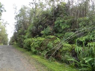 Road 4, Mountain View, HI 96771