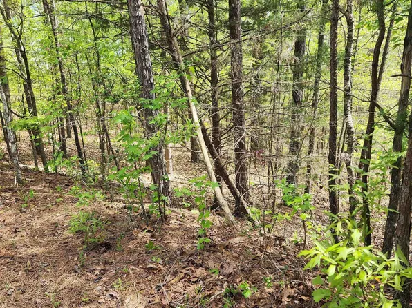 0 Circle Dr #47, Roanoke, AL 36274