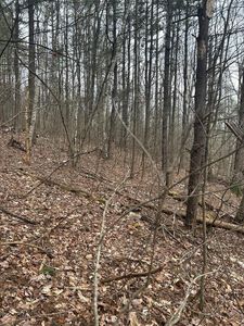 0 Birch Hill Rd, Lawrenceville, PA, 16929