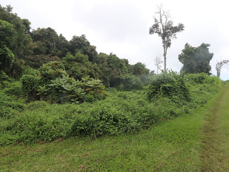 2nd image of 89-1190 Hawaii Belt Rd Lot 4
