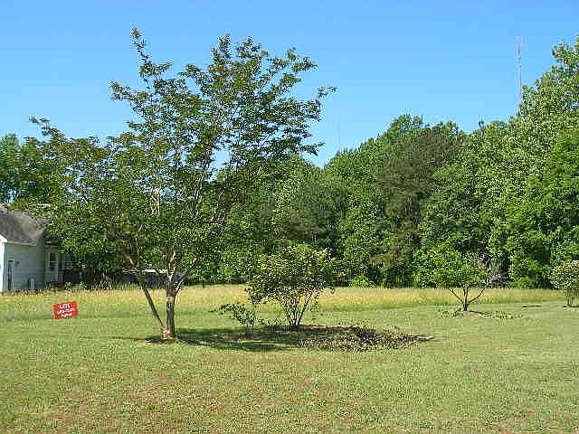 2nd image of 3908 Icana Poole Rd