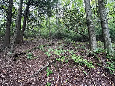 Property photo 33