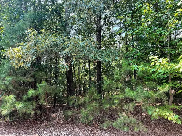 10 Nina Dr, Hot Springs Village, AR 71909