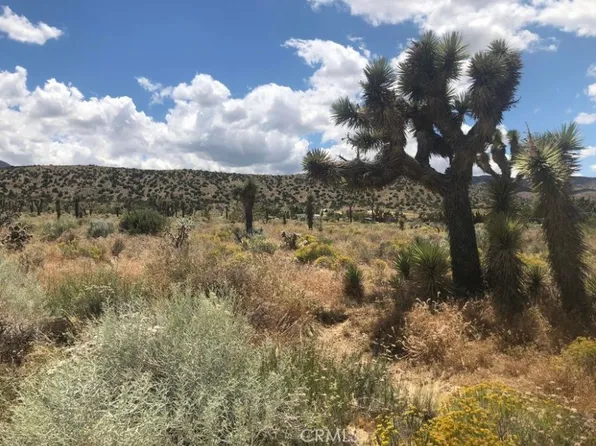 0 Vac Pearblossom Pav Vic #160, Palmdale, CA 93591