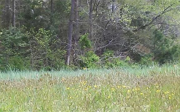 4th image of 4900 Walmsley Blvd