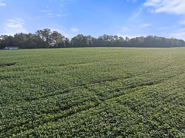 1 Lower Cumberland Rd, Mount Orab, OH 45154