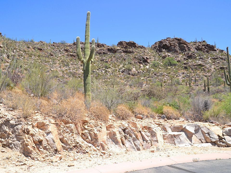 1st image of 4150 W Horizon Ridge Dr #243