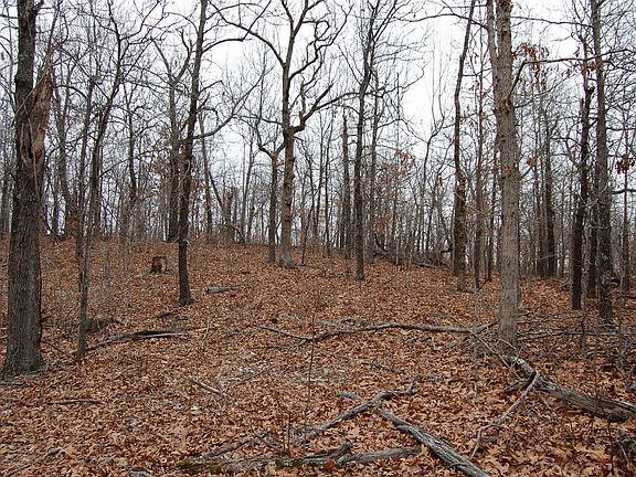 5th image of 5927 Marion County 6064
