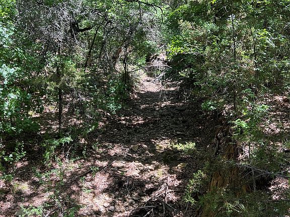 4th image of Lake Creek Rd