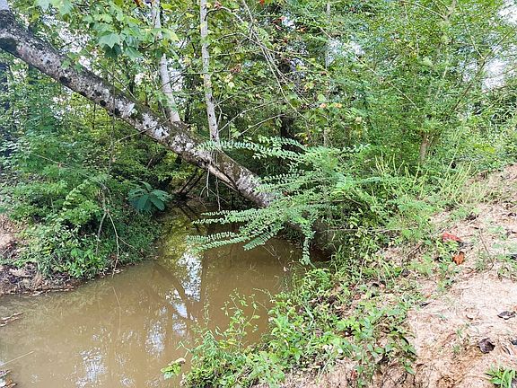 2nd image of 8172 County Road 30