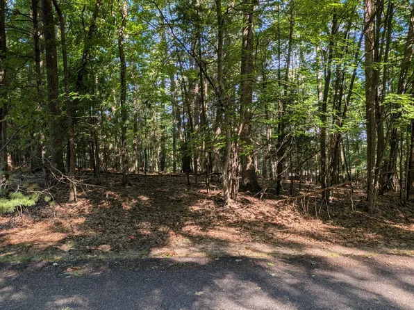 W Shawnee Rd Lot 121, Pentwater, MI 49449