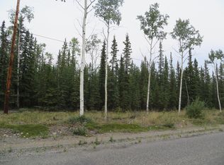 L3B4 W Borealis St, Tok, AK 99780