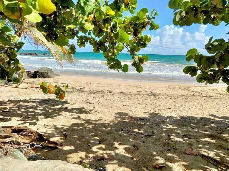 3409 Avenue Isla Verde #105 — Photo 10