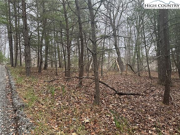 4th image of TBD (Lot 80) Forest Hill Drive