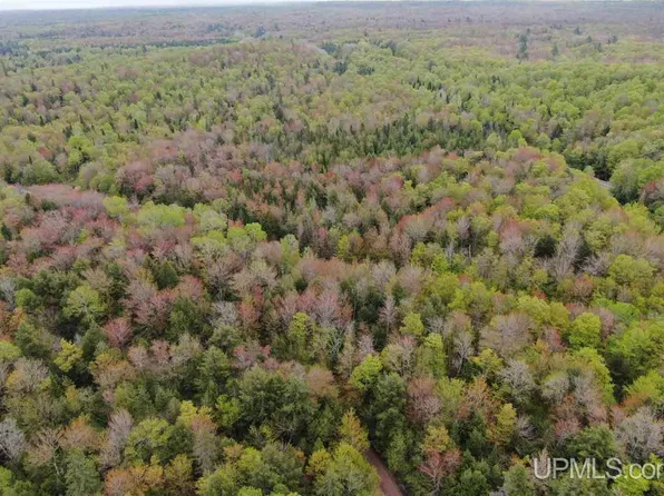 0 County Road 577, Munising, MI 49862