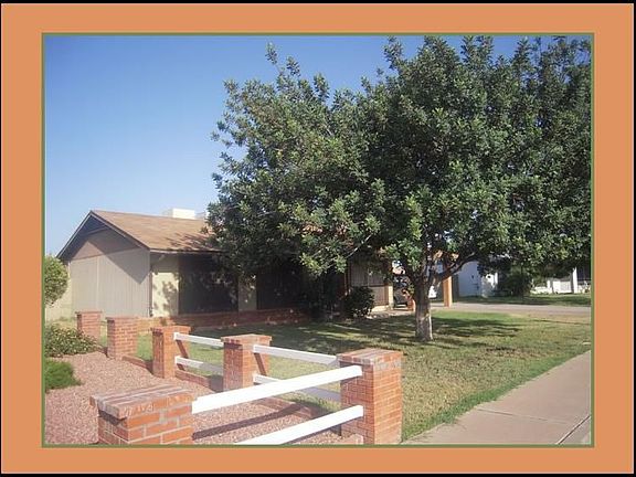 Mature tree at front yard