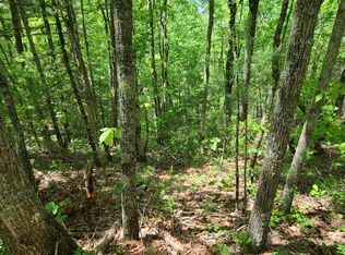 0 Laurel Creek Trl, Cherry Log, GA 30522