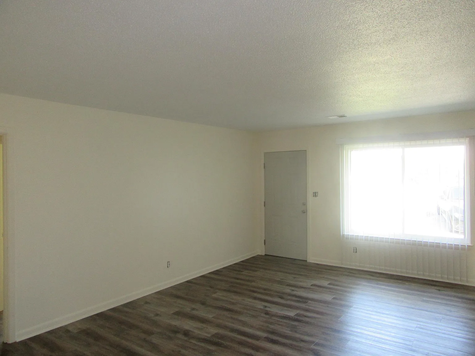 4709 Murray Lake Ln — Photo 4