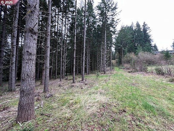 4th image of Deer Ct
