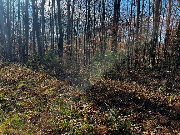 5th image of 19 Whittle Ln