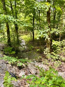0 Heine Ln, Hartsville, TN, 37074