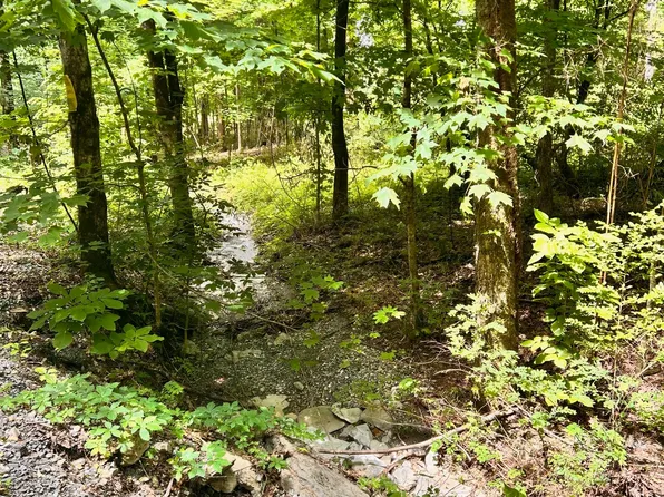 0 Heine Ln, Hartsville, TN 37074