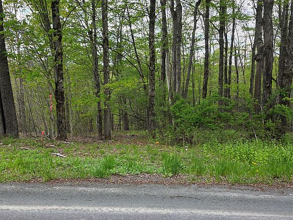 3rd image of Wade Road