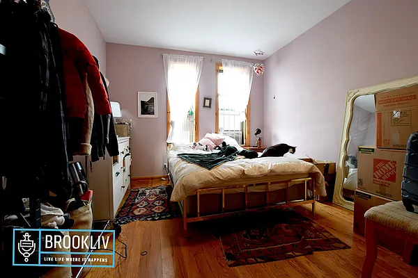 Rented by null | media 17