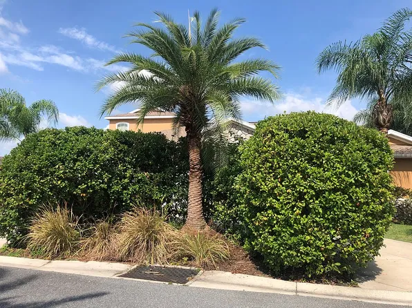 12444 NE 48th Cir, Oxford, FL 34484