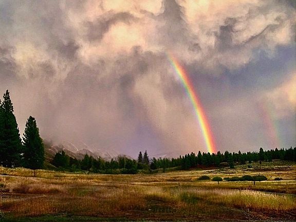 2nd image of 16527 Robertson Rd