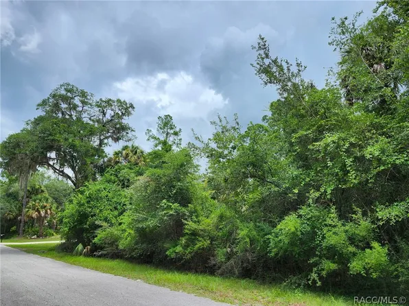 12457 W Checkerberry Dr, Crystal River, FL 34428