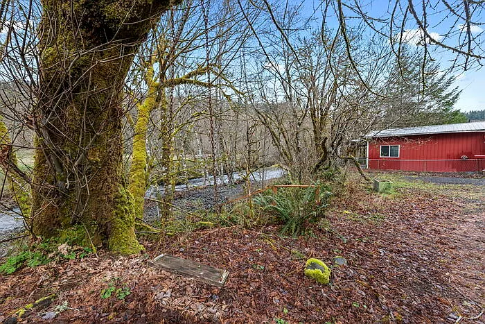 1 bed, 1.0 bath, 1000 sqft, $1,295 — Photo 4