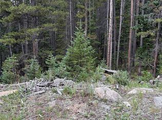 179 Mine Rd, Idaho Springs, CO 80452