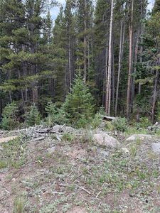 0179 Mine Road, Idaho Springs, CO, 80452