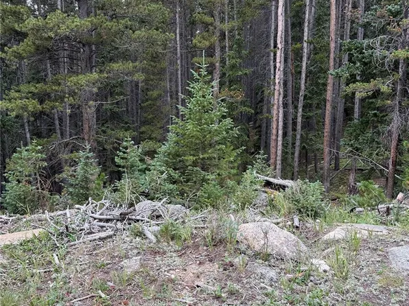 0179 Mine Road, Idaho Springs, CO 80452