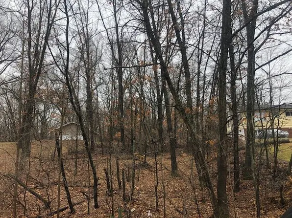 W Shore Dr, Weidman, MI 48893