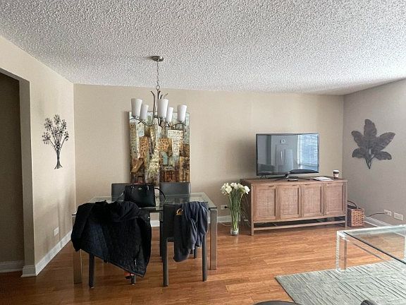 5th image of 195 N Harbor Dr APT 407