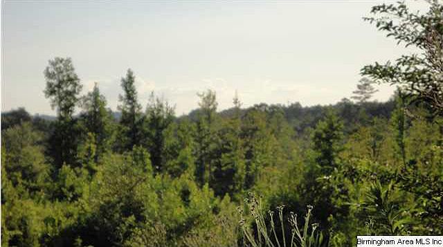 2nd image of 11480 Highway 31