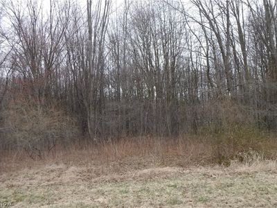 Carson Salt Springs Rd, Warren, OH, 44481