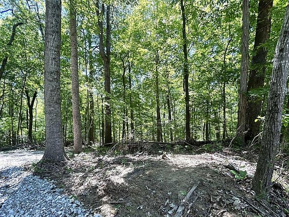 3rd image of 2525 Salem Lake Rd Lot 11