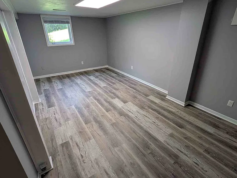 Basement Livingroom