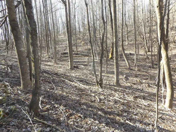 112 Chantilly Dr, Fancy Gap, VA 24328