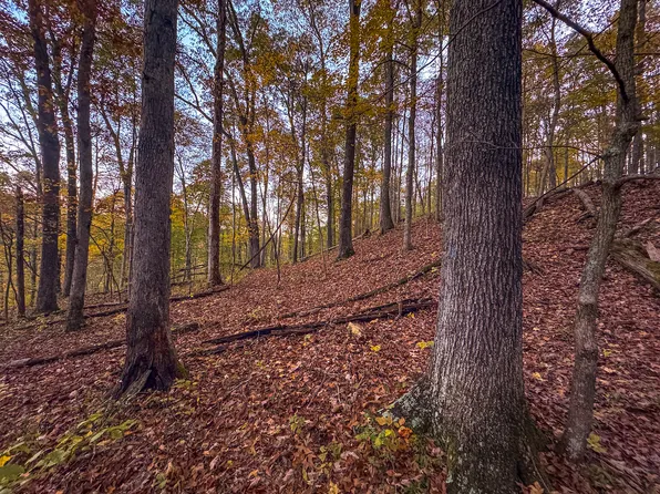 Off Rd #7, Le Roy, WV 25252