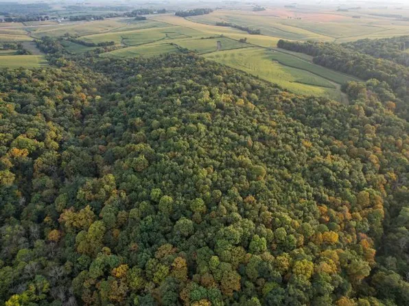 0 Gold Mine Rd, Mc Gregor, IA 52157