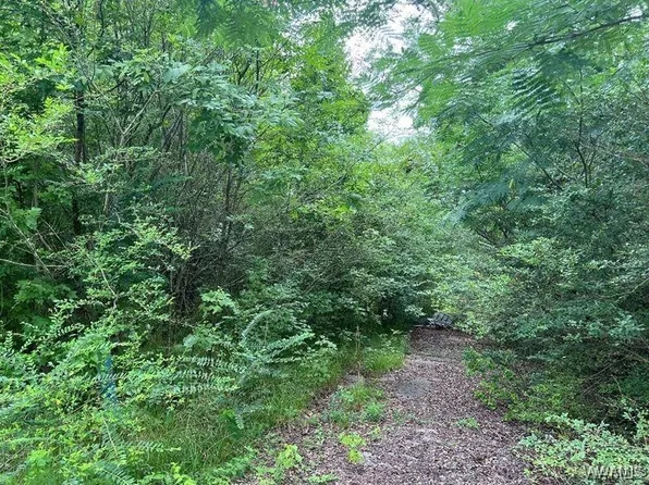 0 Rock Castle Ln, Vance, AL 35490