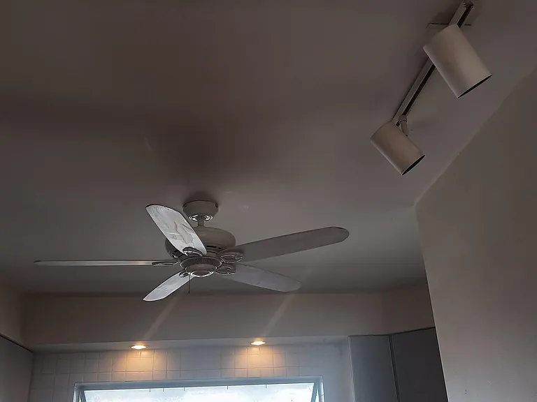 kitchen ceiling fan